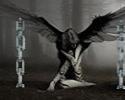 Chained Wings