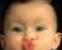 Cameliandavid