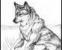 darkangelwolf